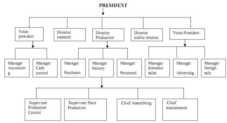 Line and Staff Organization